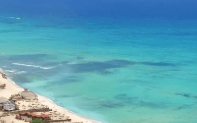 Boa vista blauwe zee
